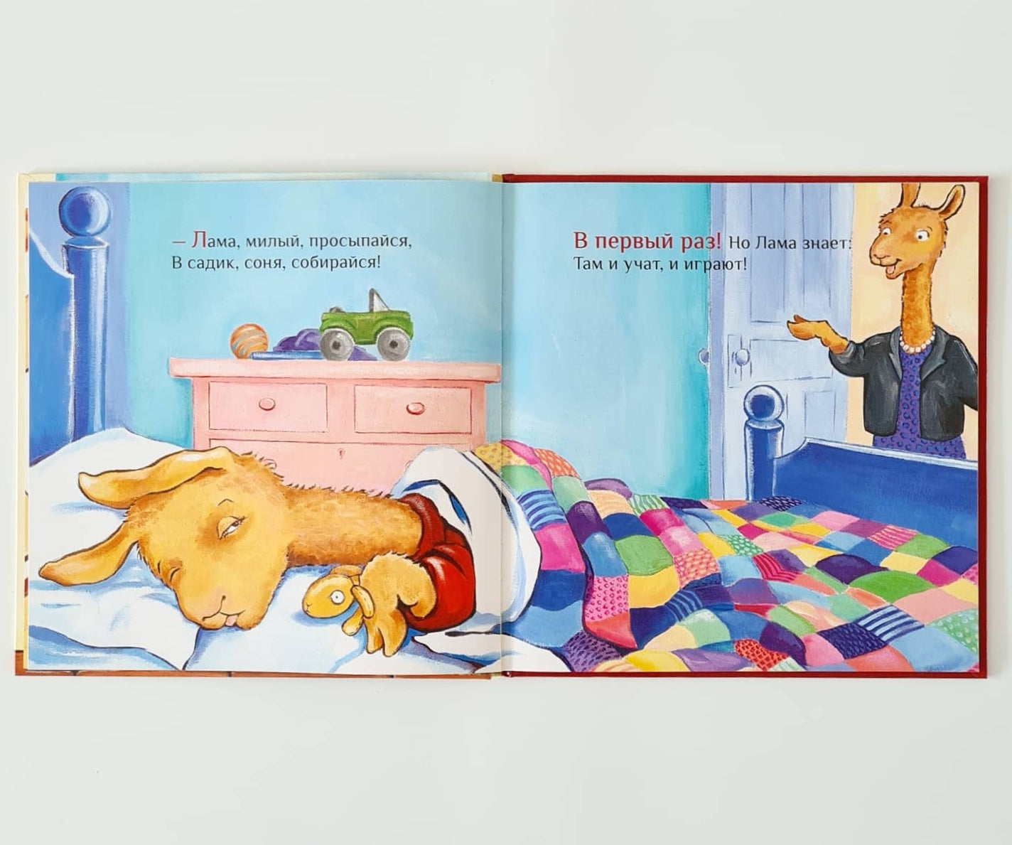 Лама в садике без мамы