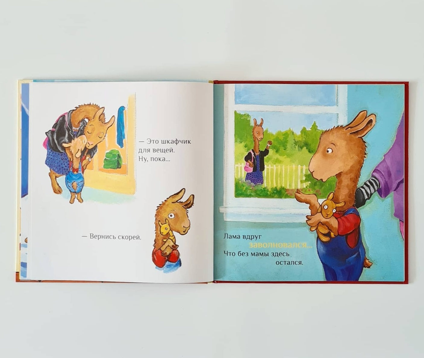 Лама в садике без мамы