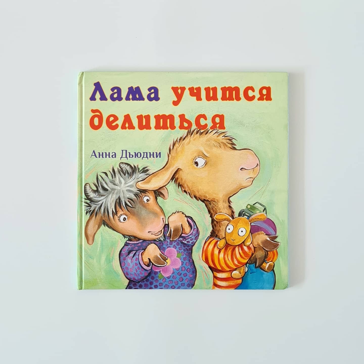 Лама учится делиться