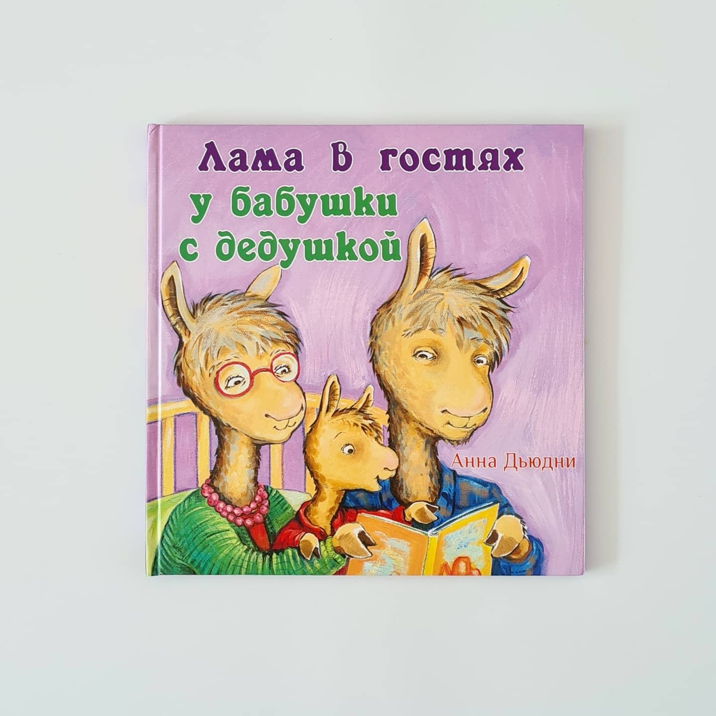 Llama visiting grandparents