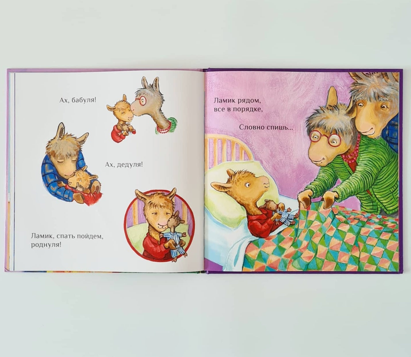 Llama visiting grandparents