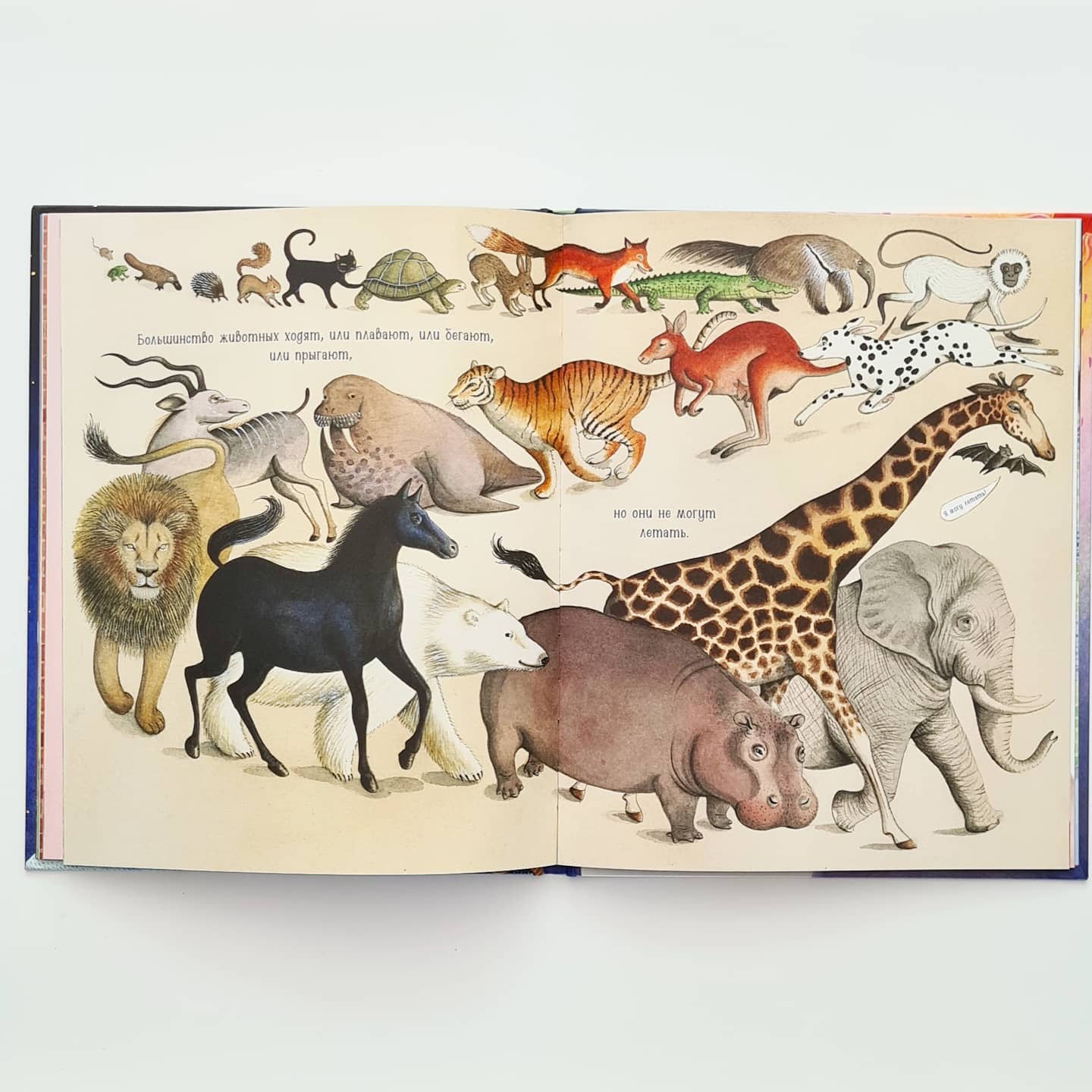 Если ты прилетишь на Землю