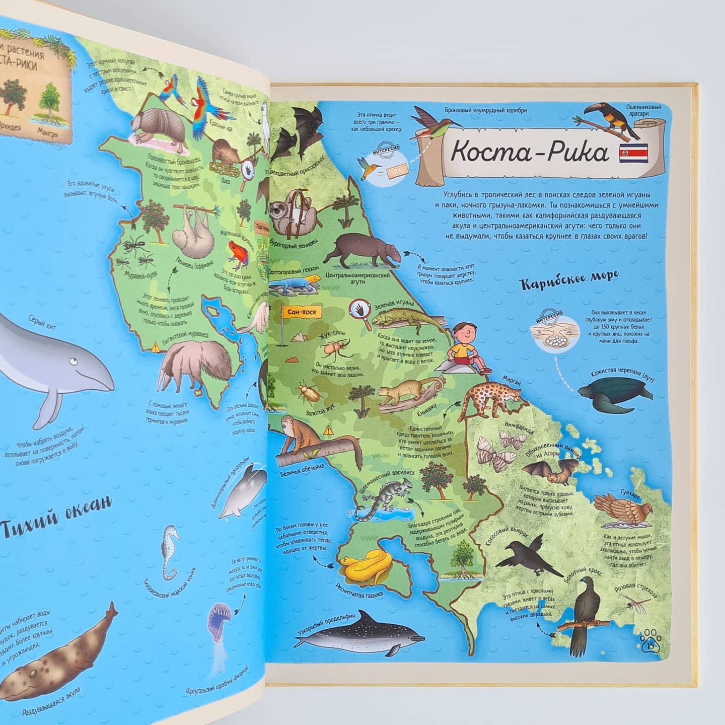 Гигантский атлас животных мира