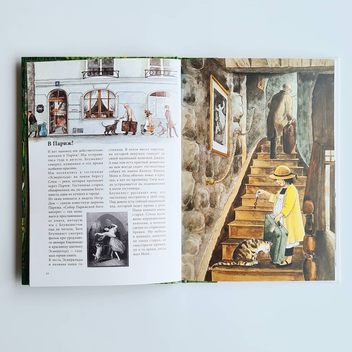 Linnaeus in the artist's garden