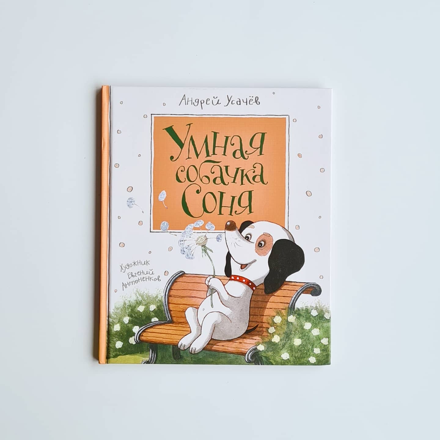 Умная собачка Соня