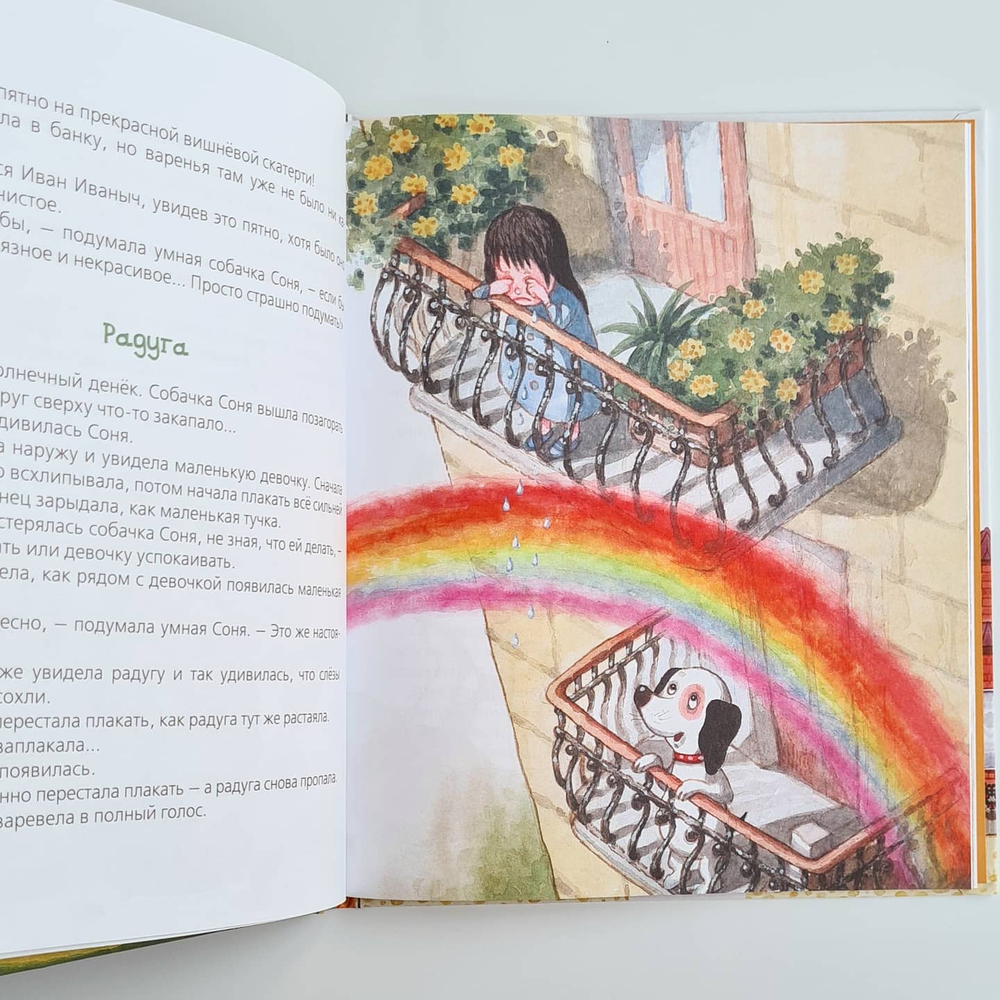 Умная собачка Соня