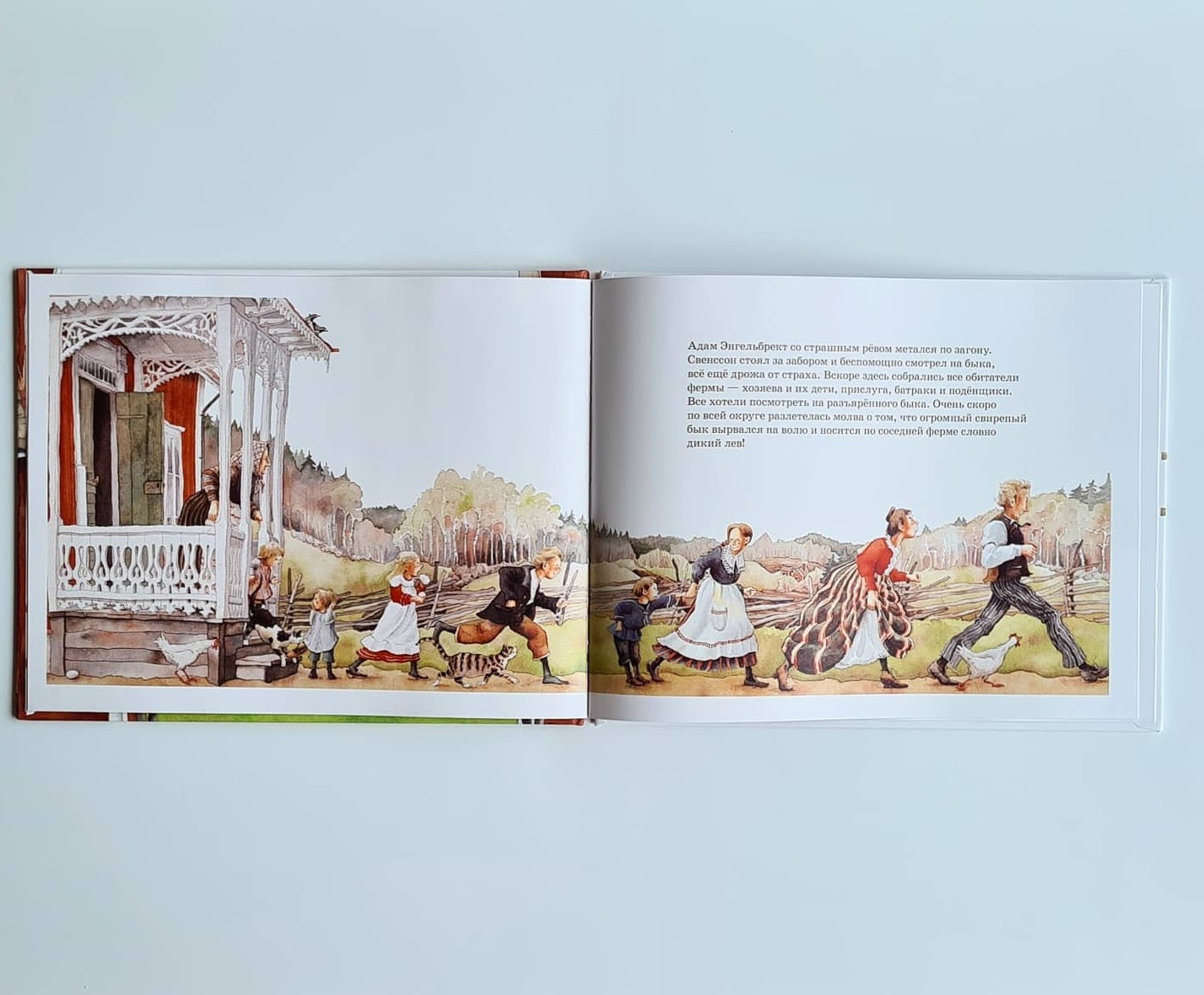 Как Адам Энгельбрект разбушевался