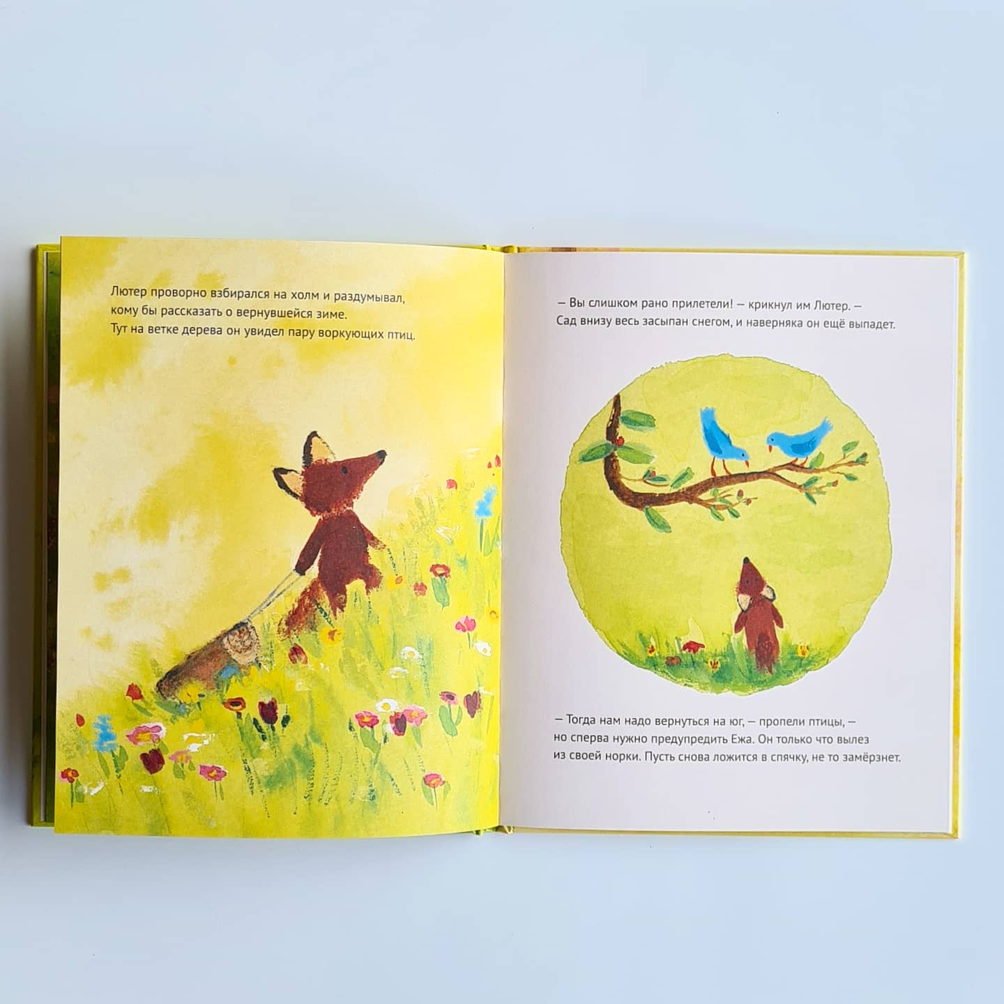 Лисенок Лютер и весенний сад