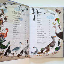 Загрузить изображение в средство просмотра галереи, Большая книга птиц
