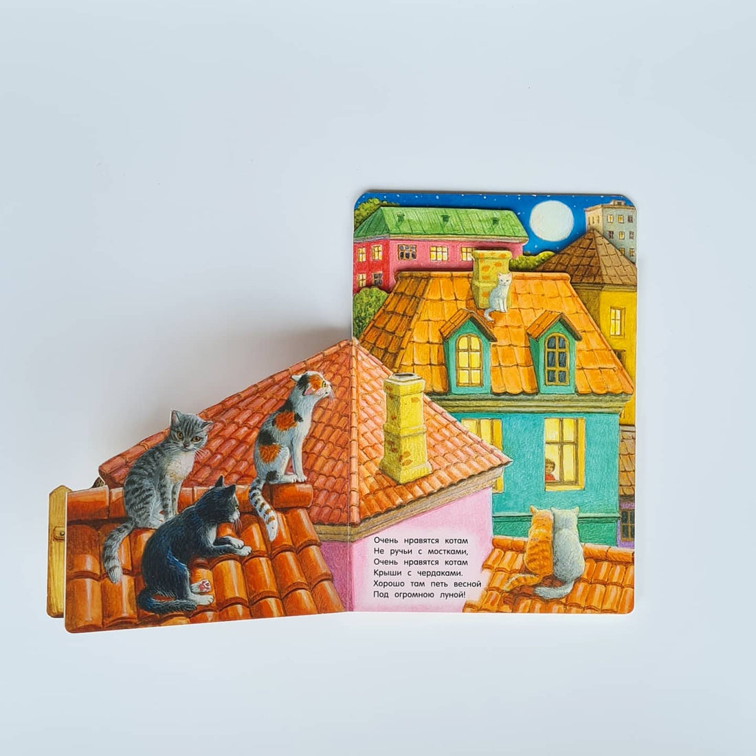 Где живут коты?