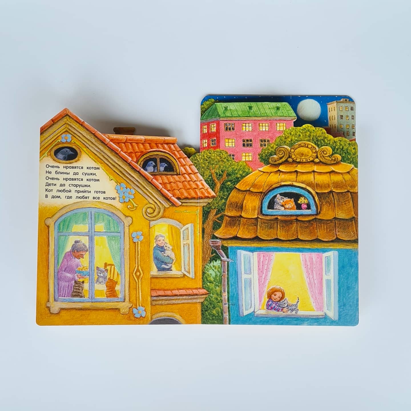 Где живут коты?