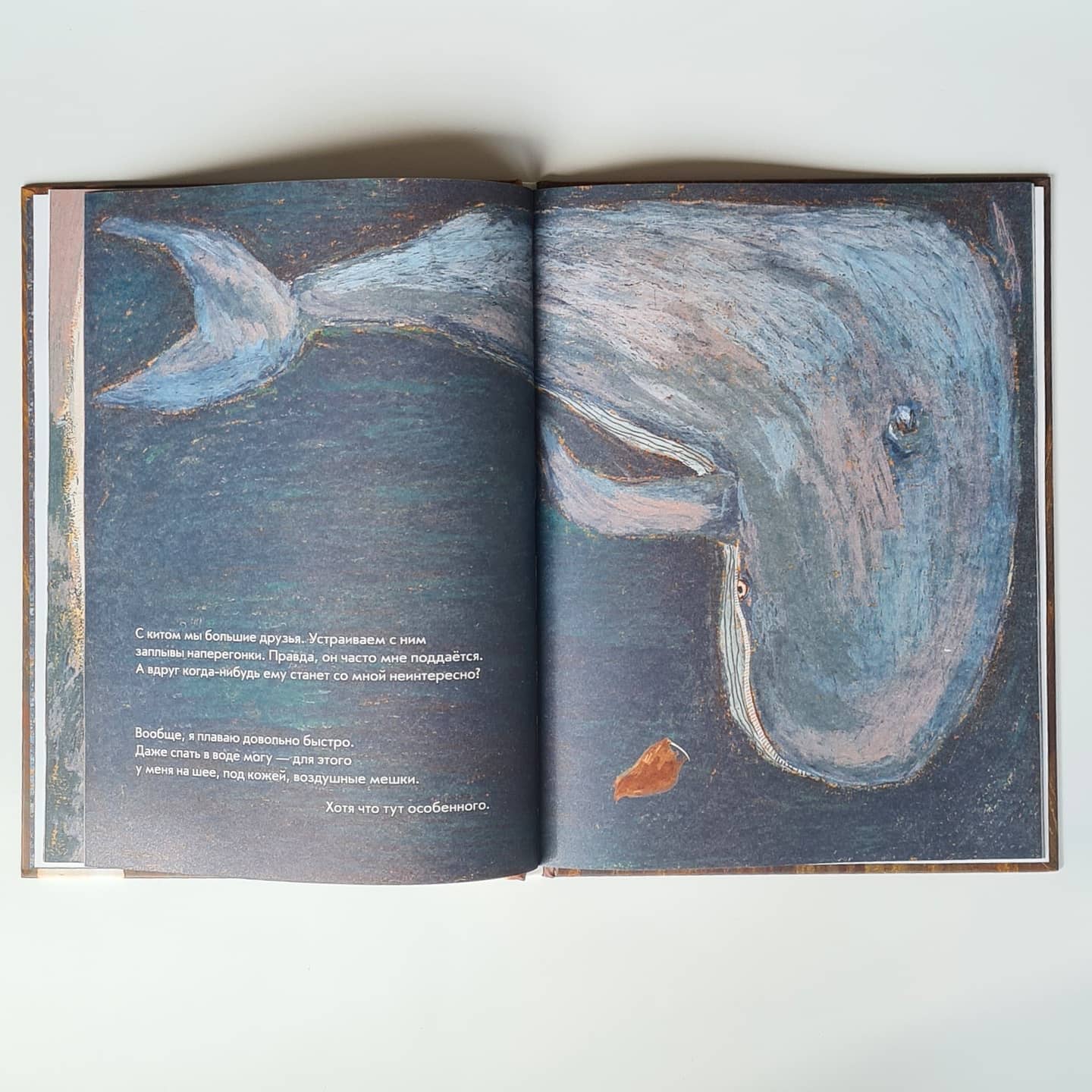 Морж как морж, ничего особенного