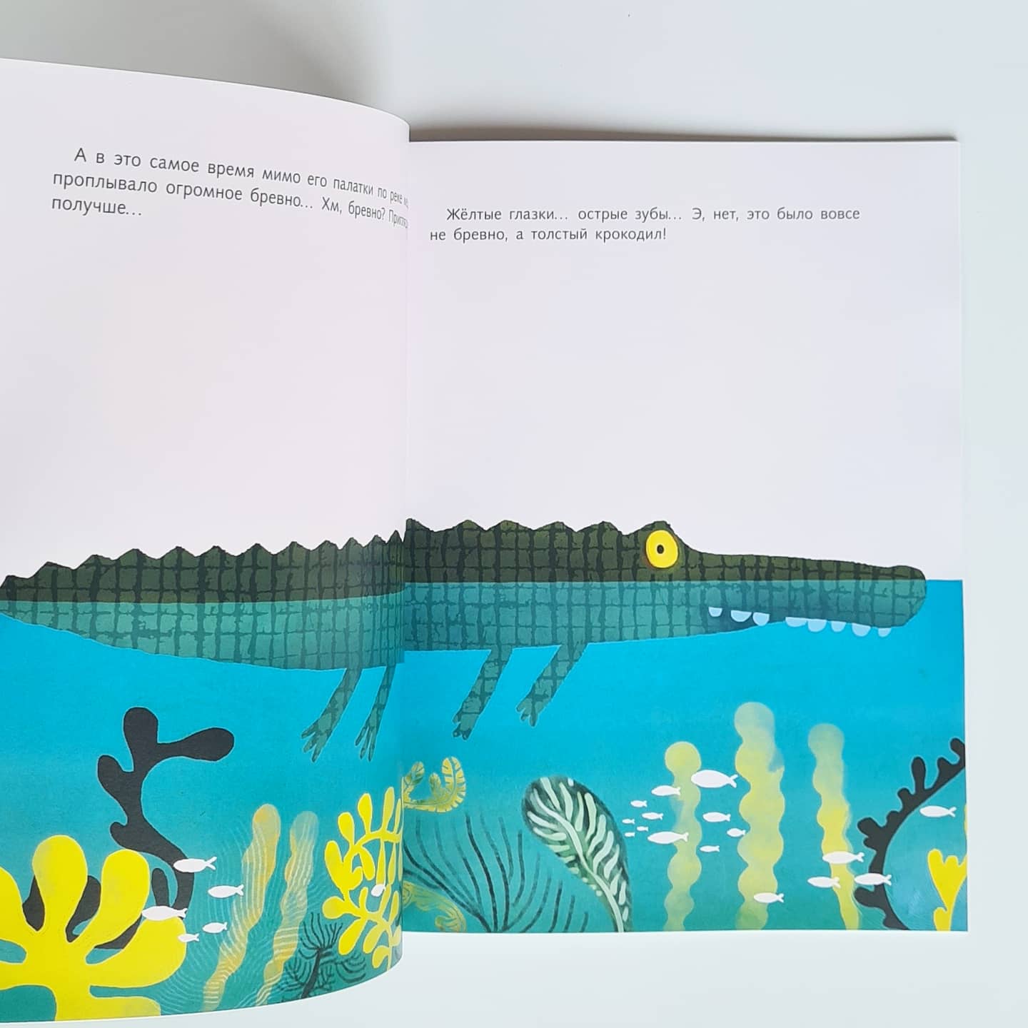 Крокодильник