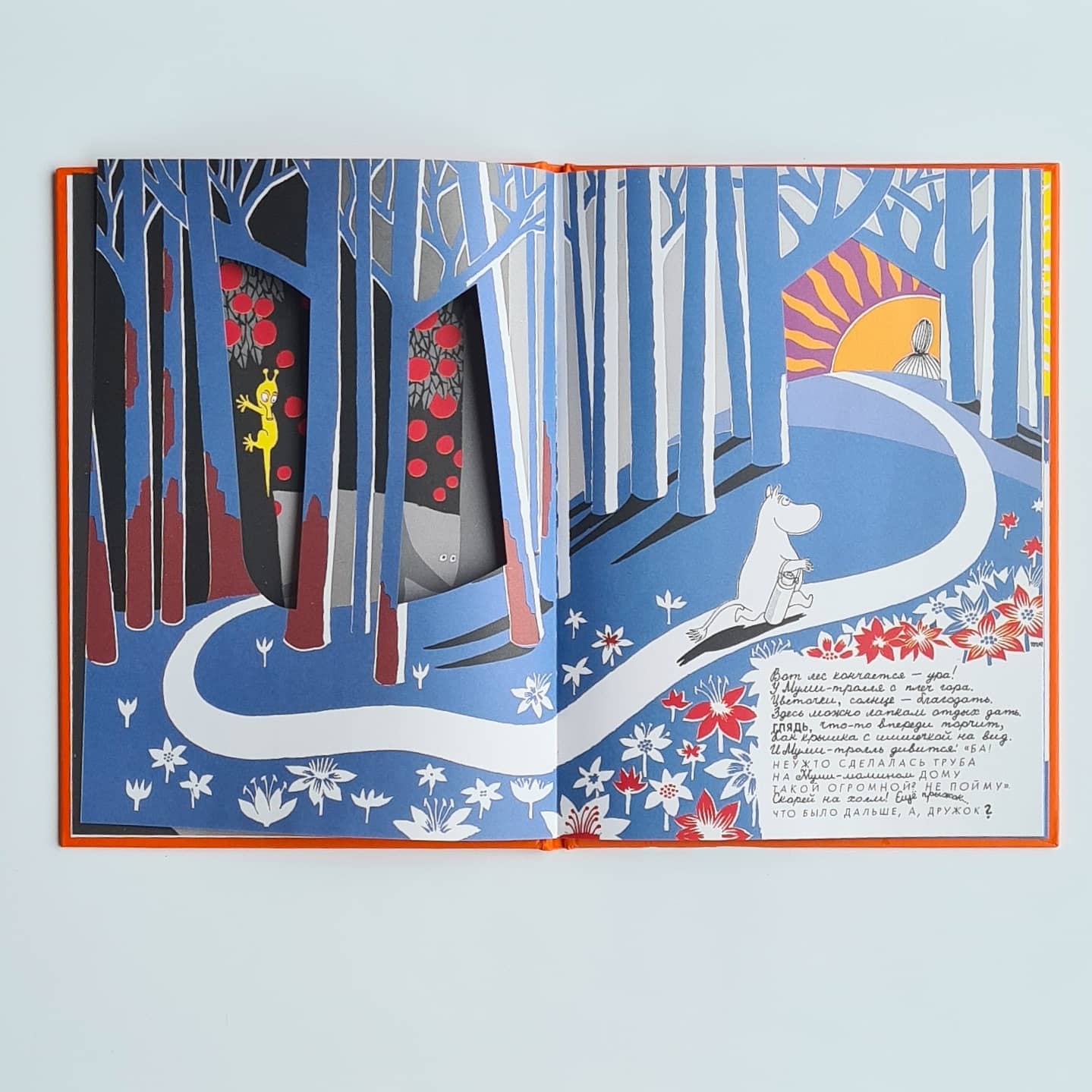 Что дальше? Книга о Мюмле, Муми-тролле и малышке Мю (новый перевод)