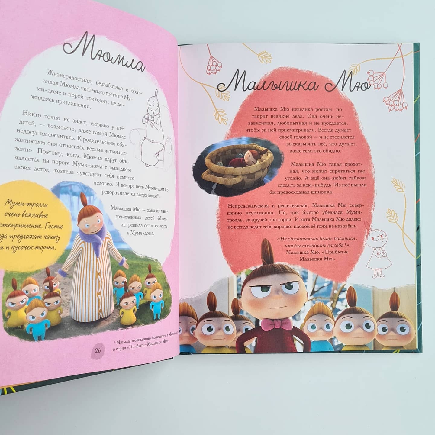 Добро пожаловать в Муми-долину. Путеводитель