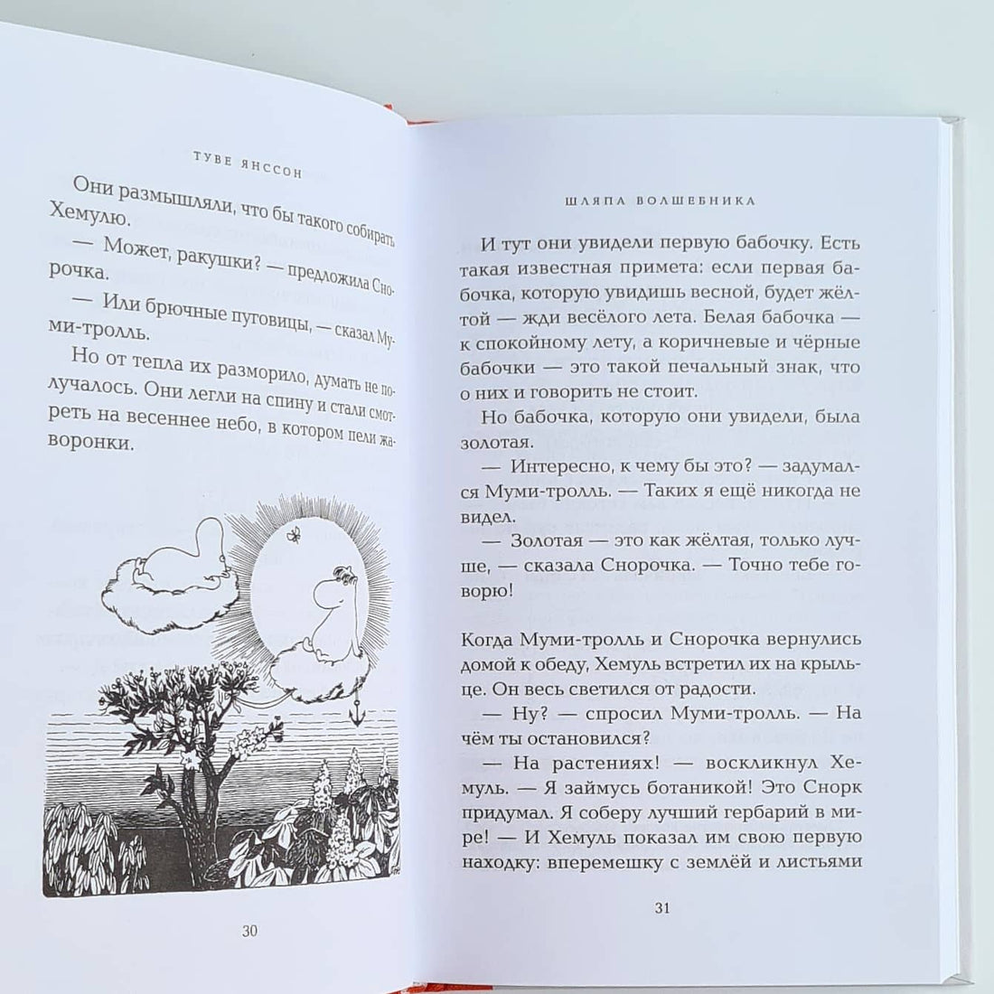 Шляпа Волшебника (новый перевод)