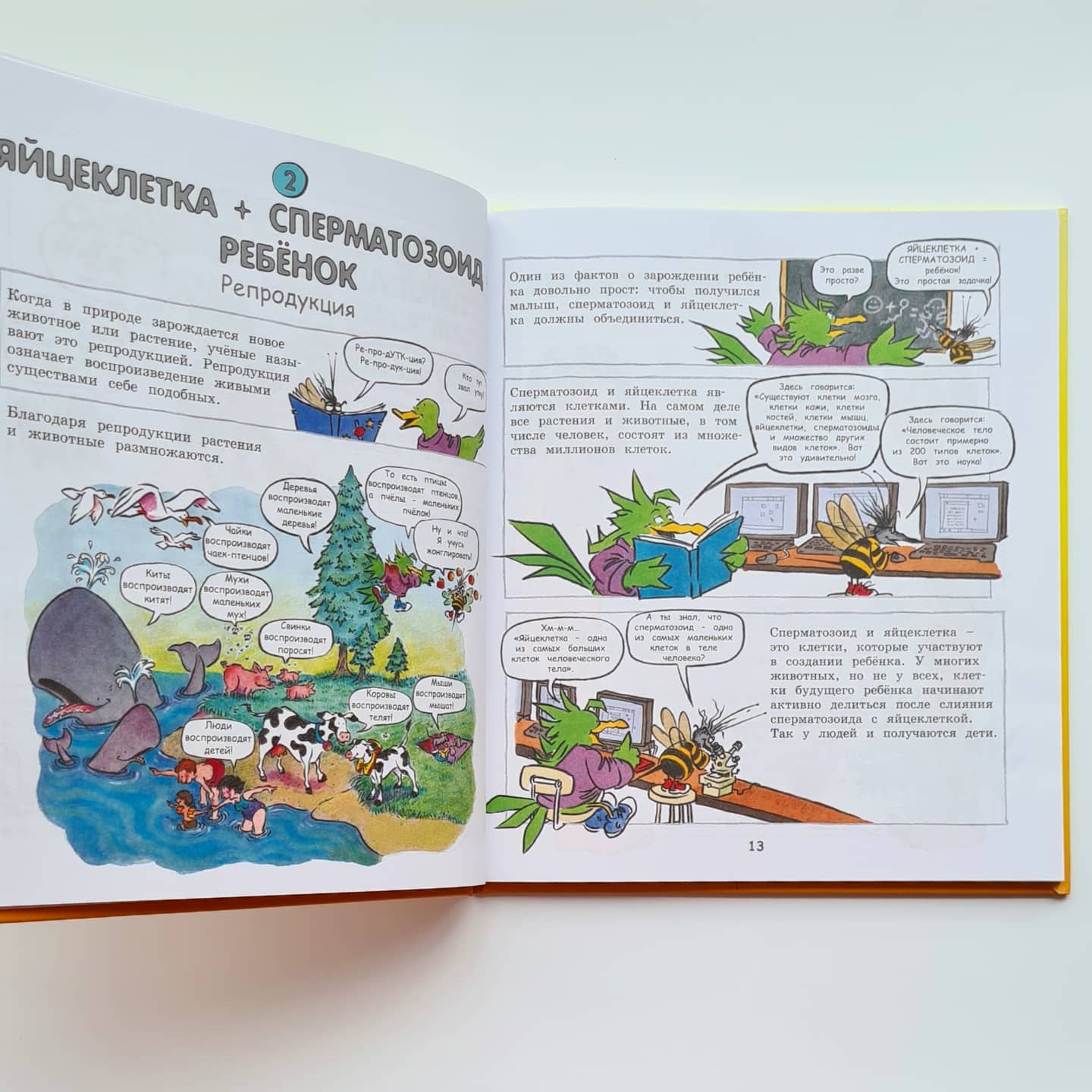 Давай поговорим о том, откуда берутся дети. О зачатии, рождении, младенцах и семьях