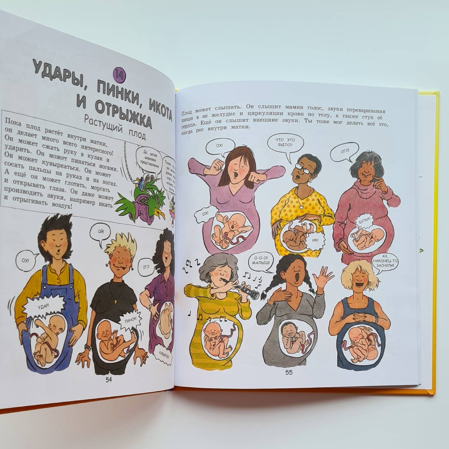 Давай поговорим о том, откуда берутся дети. О зачатии, рождении, младенцах и семьях