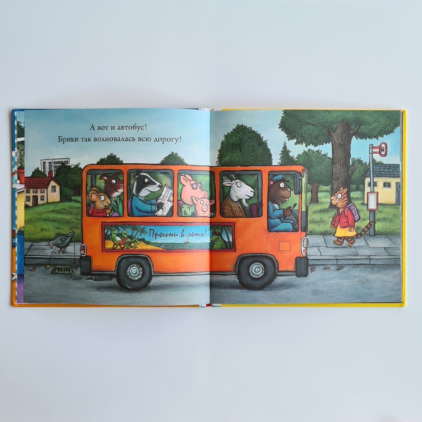 Чик и Брики. Любимый лягушастик