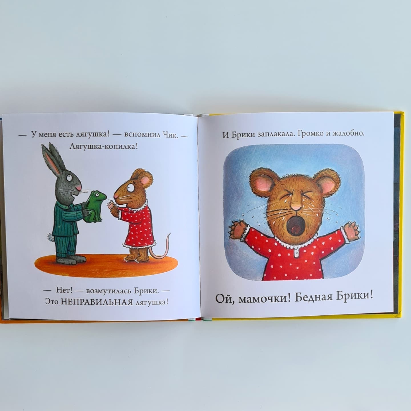 Чик и Брики. Любимый лягушастик