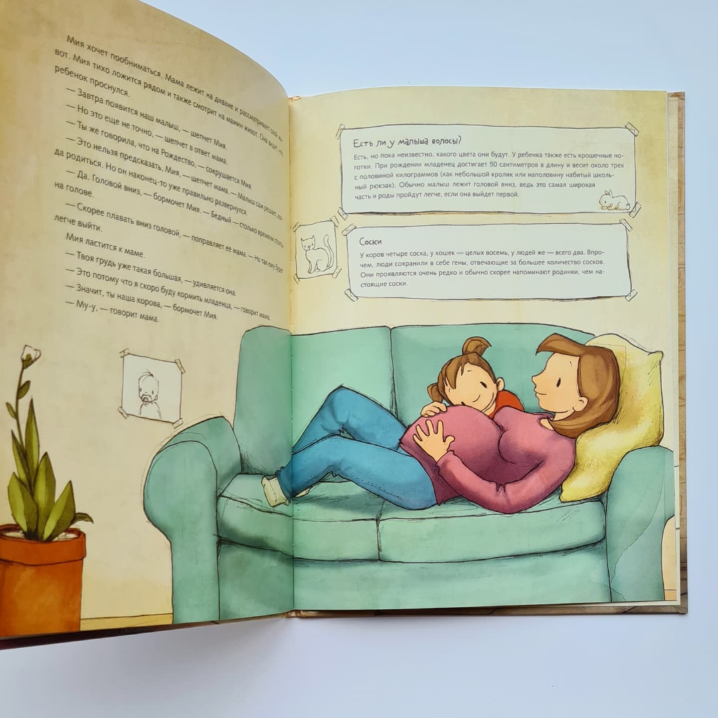 Не в капусте и не аист