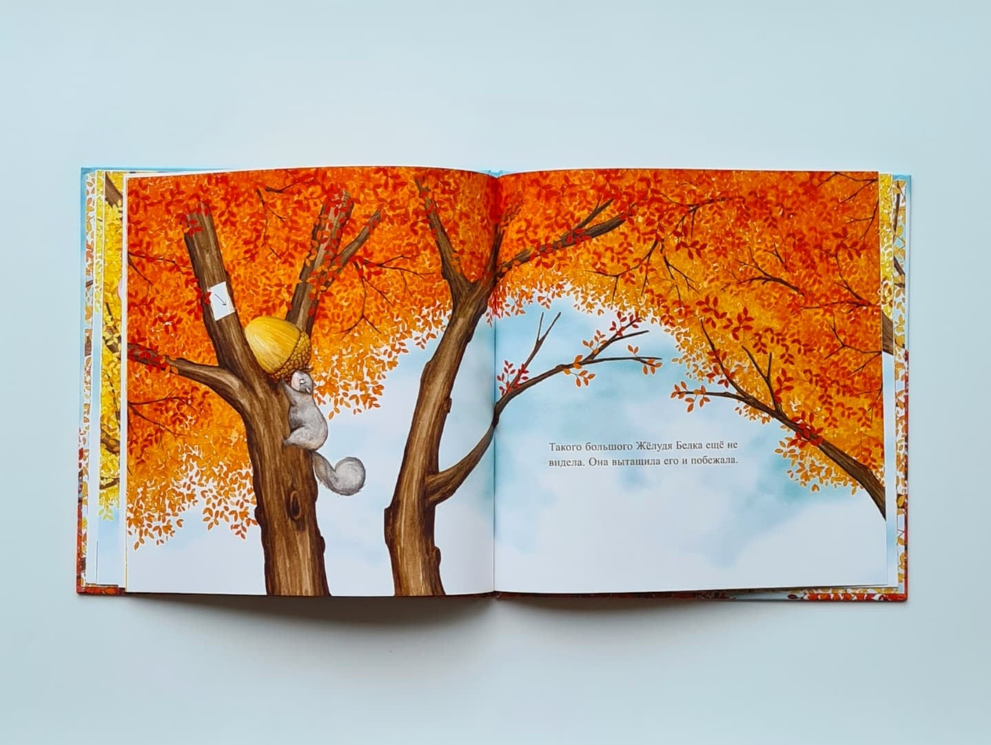 Золотой желудь