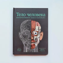 Загрузить изображение в средство просмотра галереи, Тело человека. Интерактивная книга-панорама
