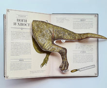 Загрузить изображение в средство просмотра галереи, Тираннозавр Рекс. Интерактивная книга-панорама
