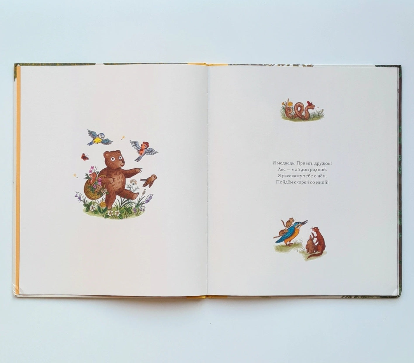 Круглый год в лесу. Виммельбух