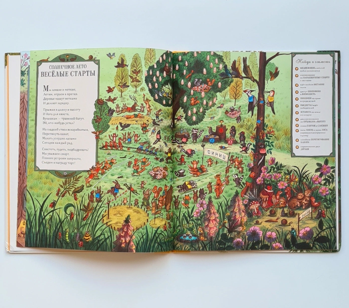 Круглый год в лесу. Виммельбух