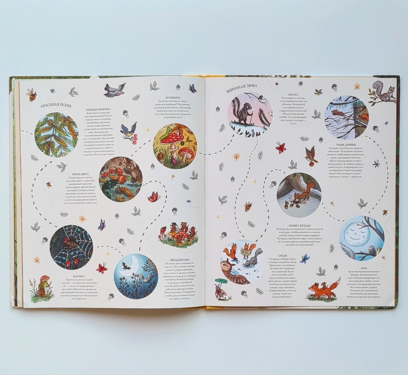 Круглый год в лесу. Виммельбух