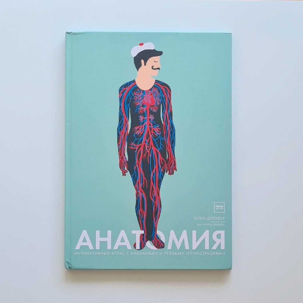 Анатомия