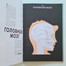 Загрузить изображение в средство просмотра галереи, Анатомия
