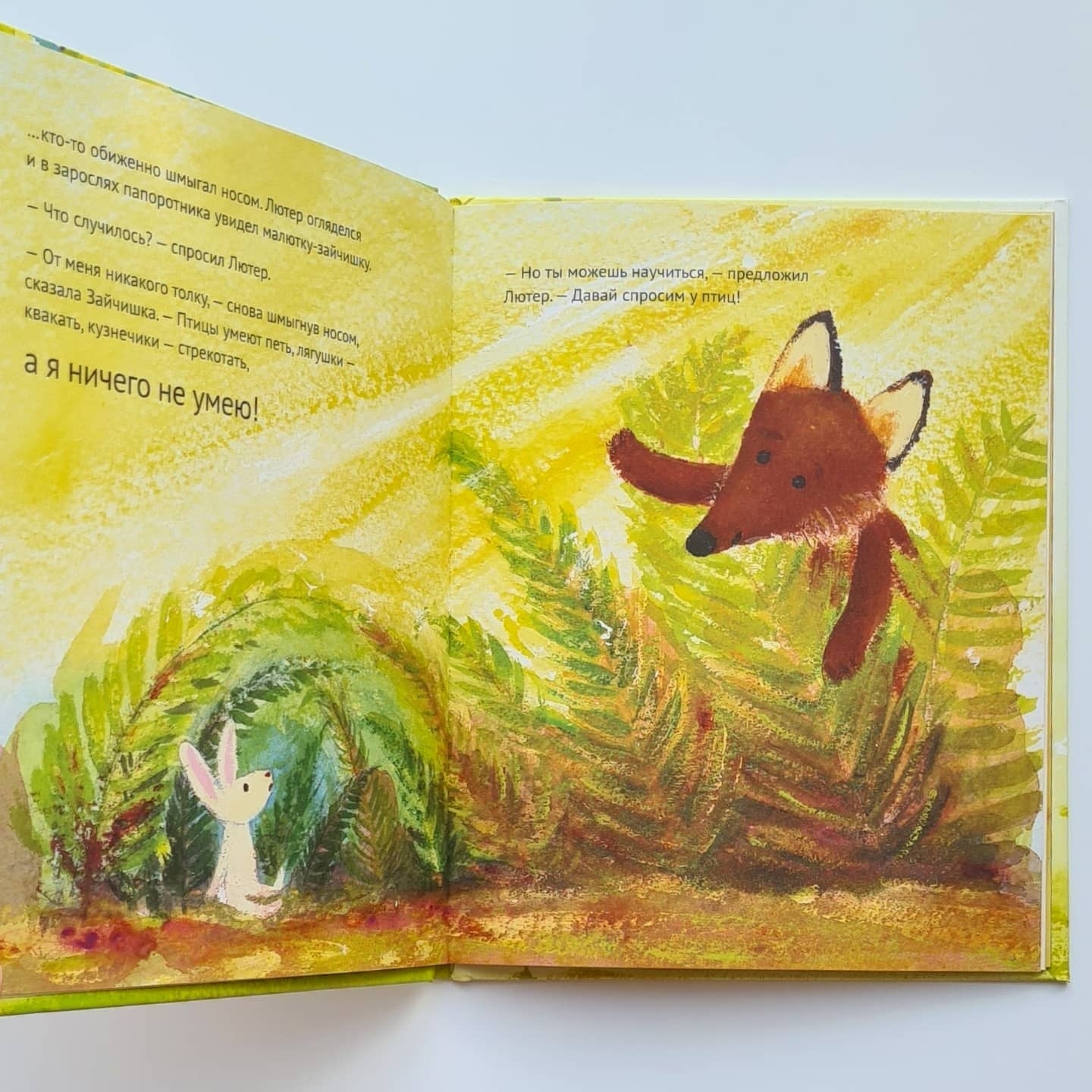 Лисенок Лютер и летнее представление