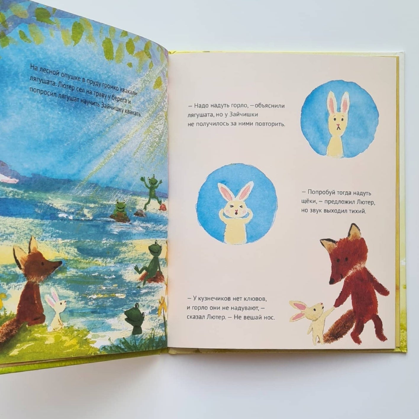 Лисенок Лютер и летнее представление