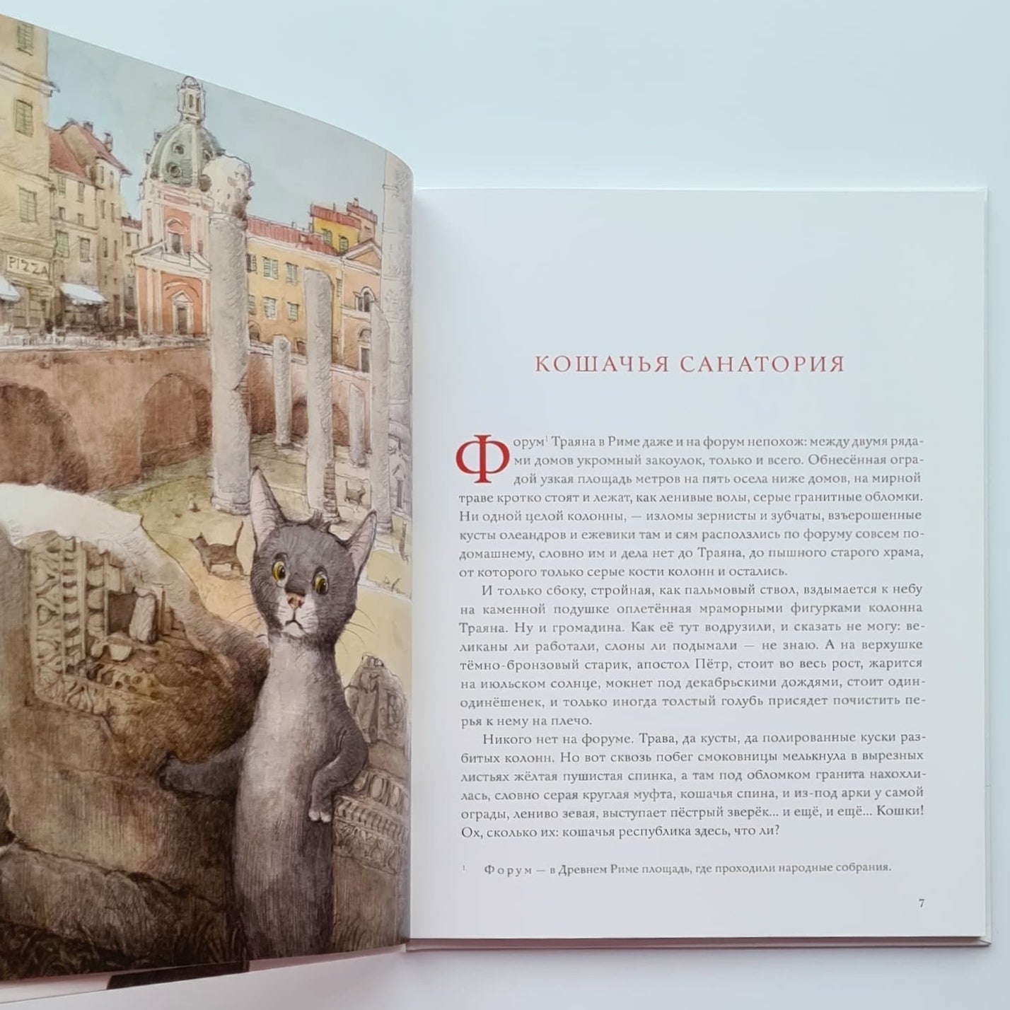 Кошачья санатория. Рассказы и стихи