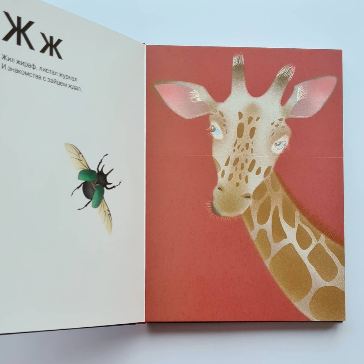 Азбука для больших и маленьких фантазеров