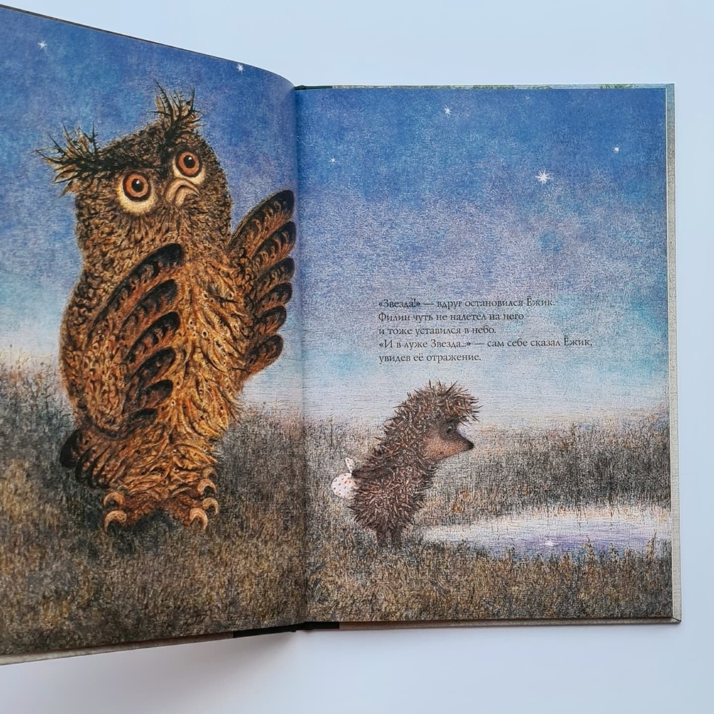 Hedgehog in the Fog
