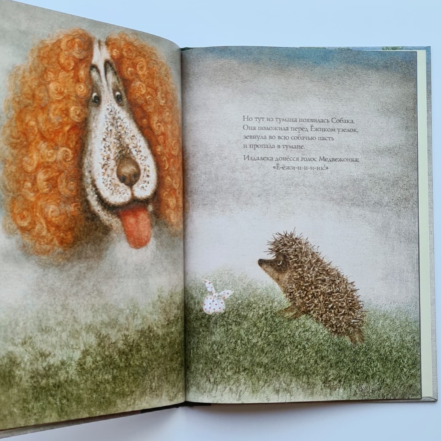 Hedgehog in the Fog