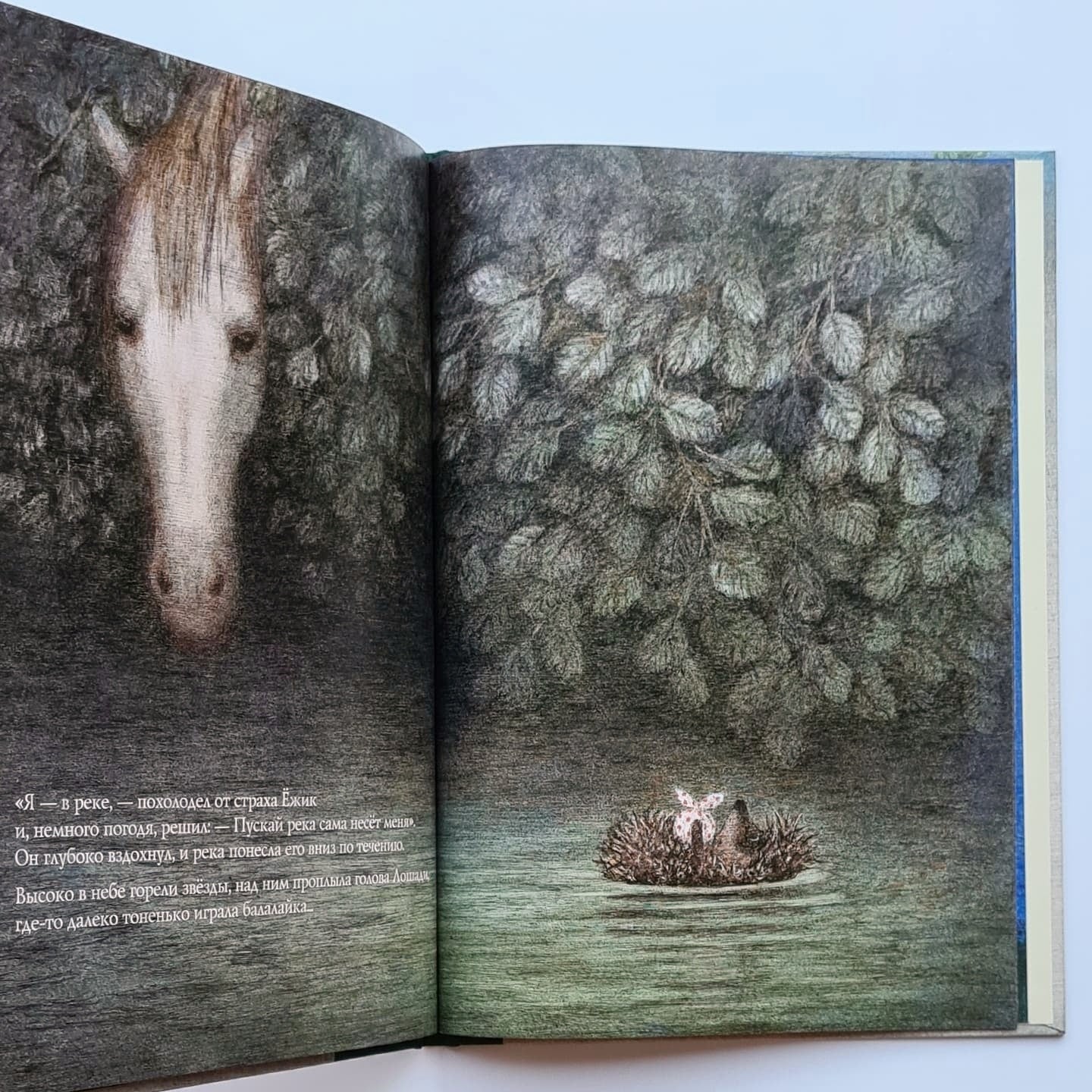 Hedgehog in the Fog