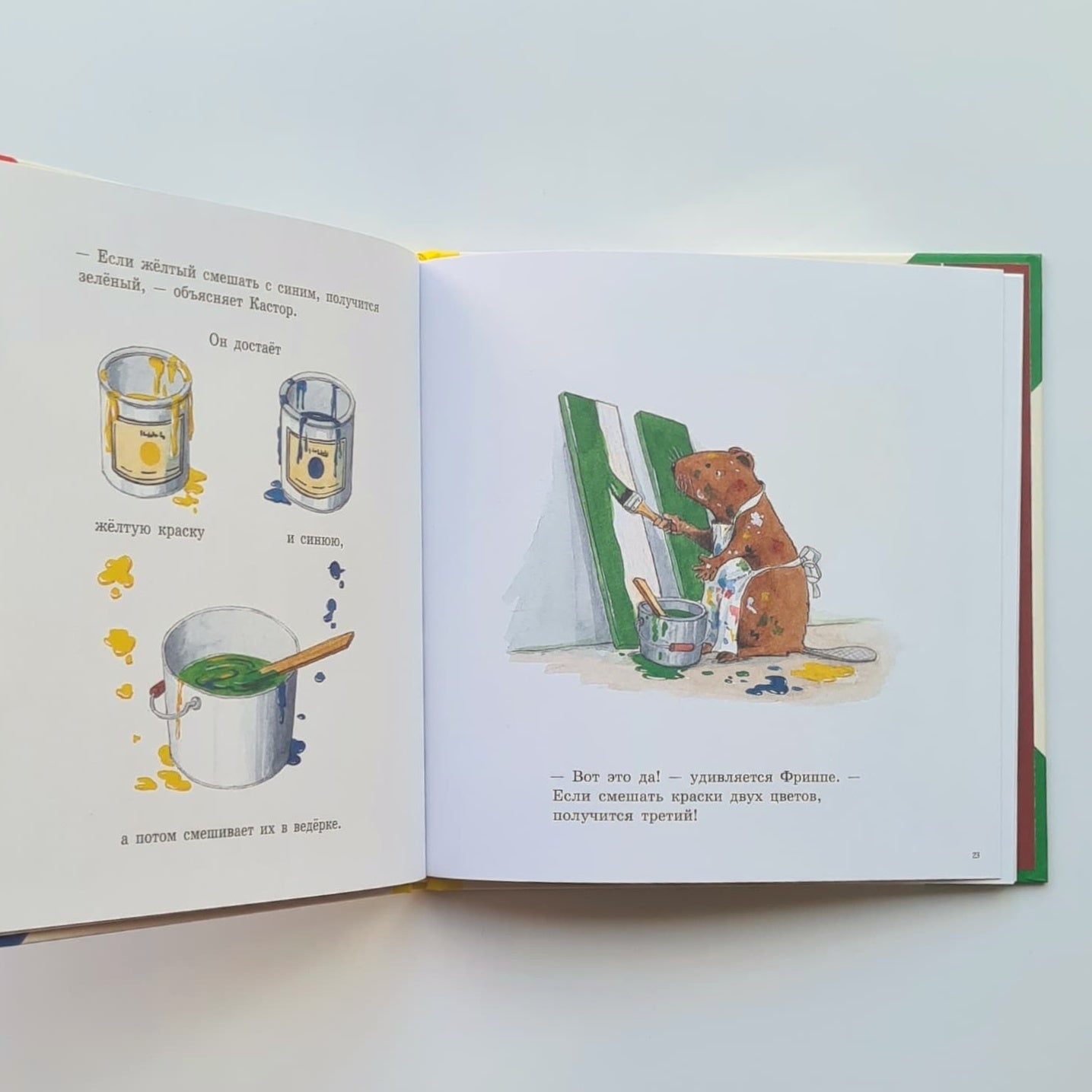 Кастор и краски