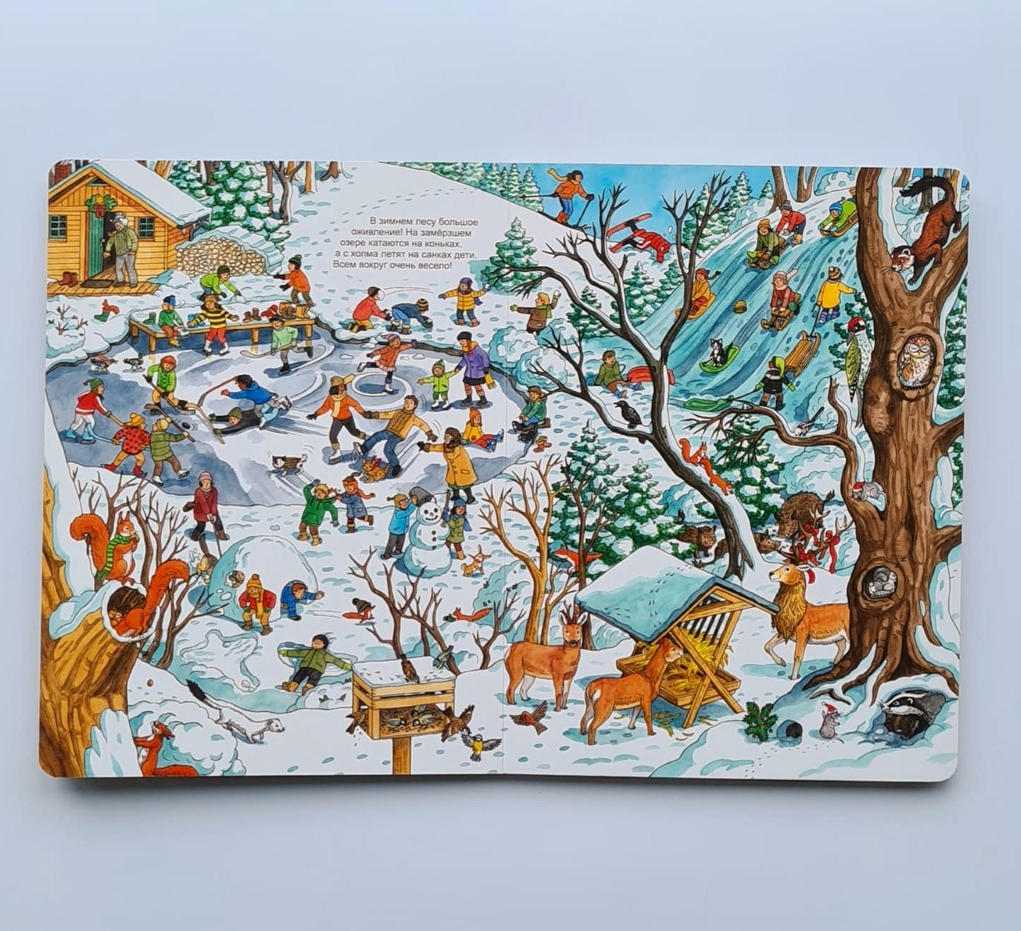 Зимние забавы