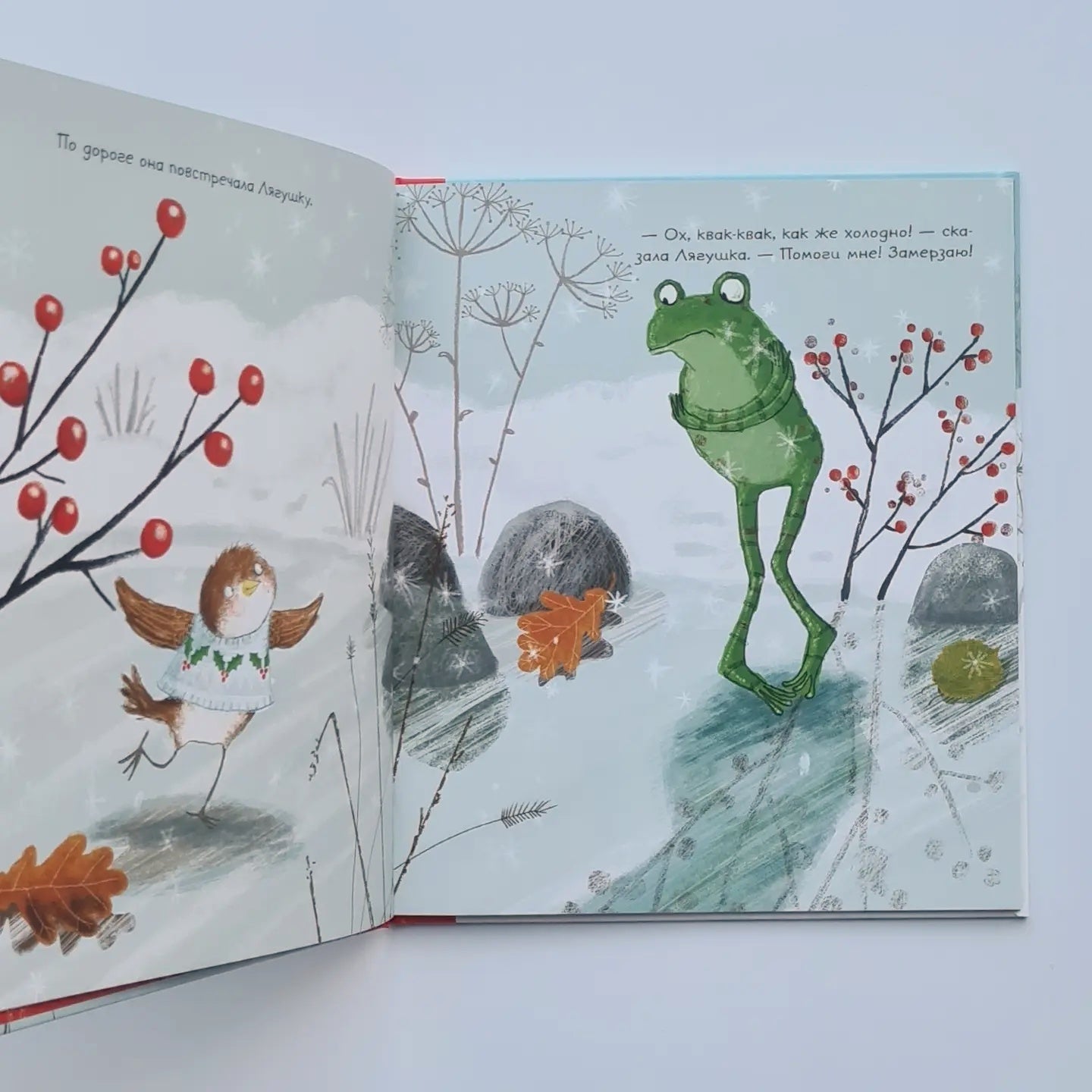 Eight Vests of Robin