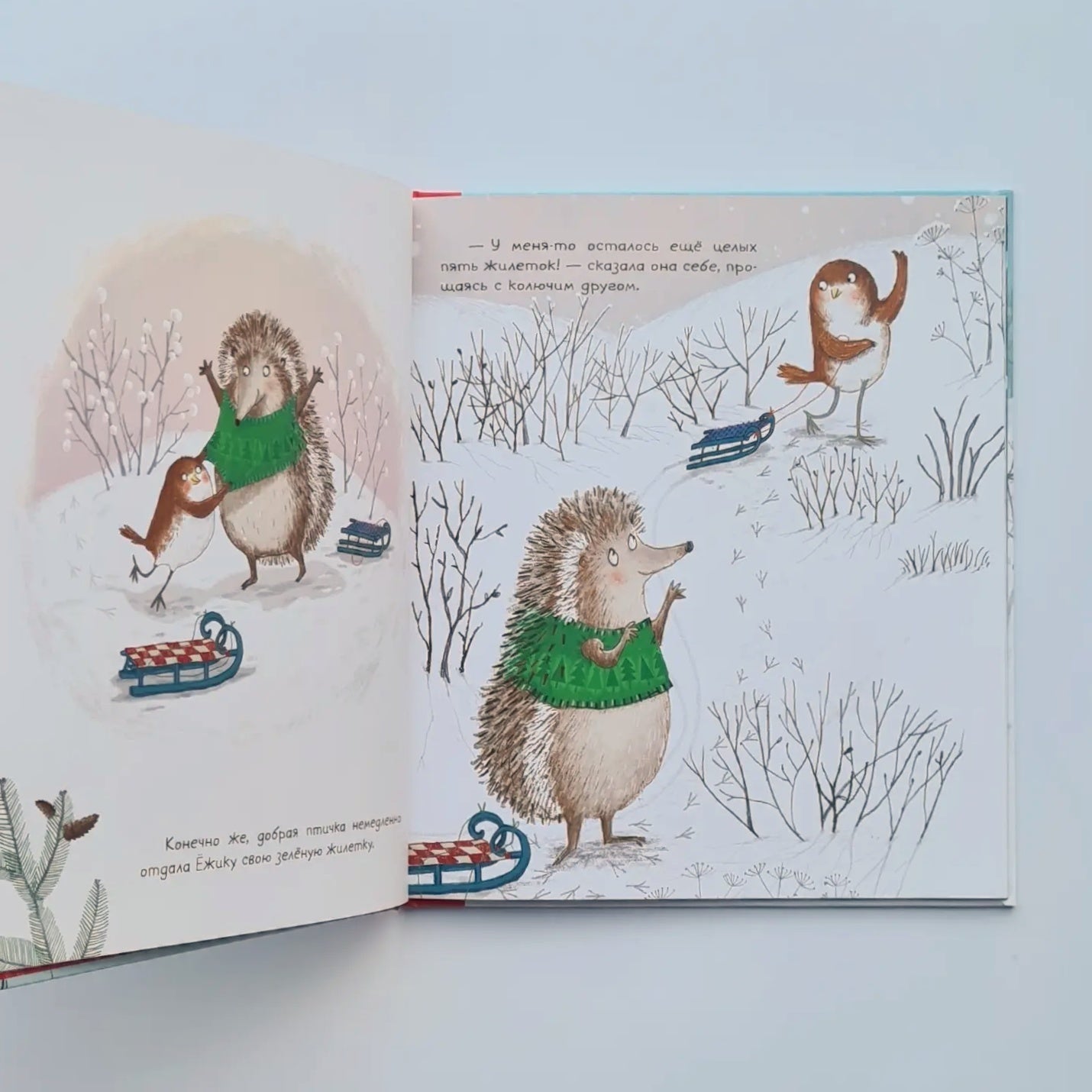 Eight Vests of Robin