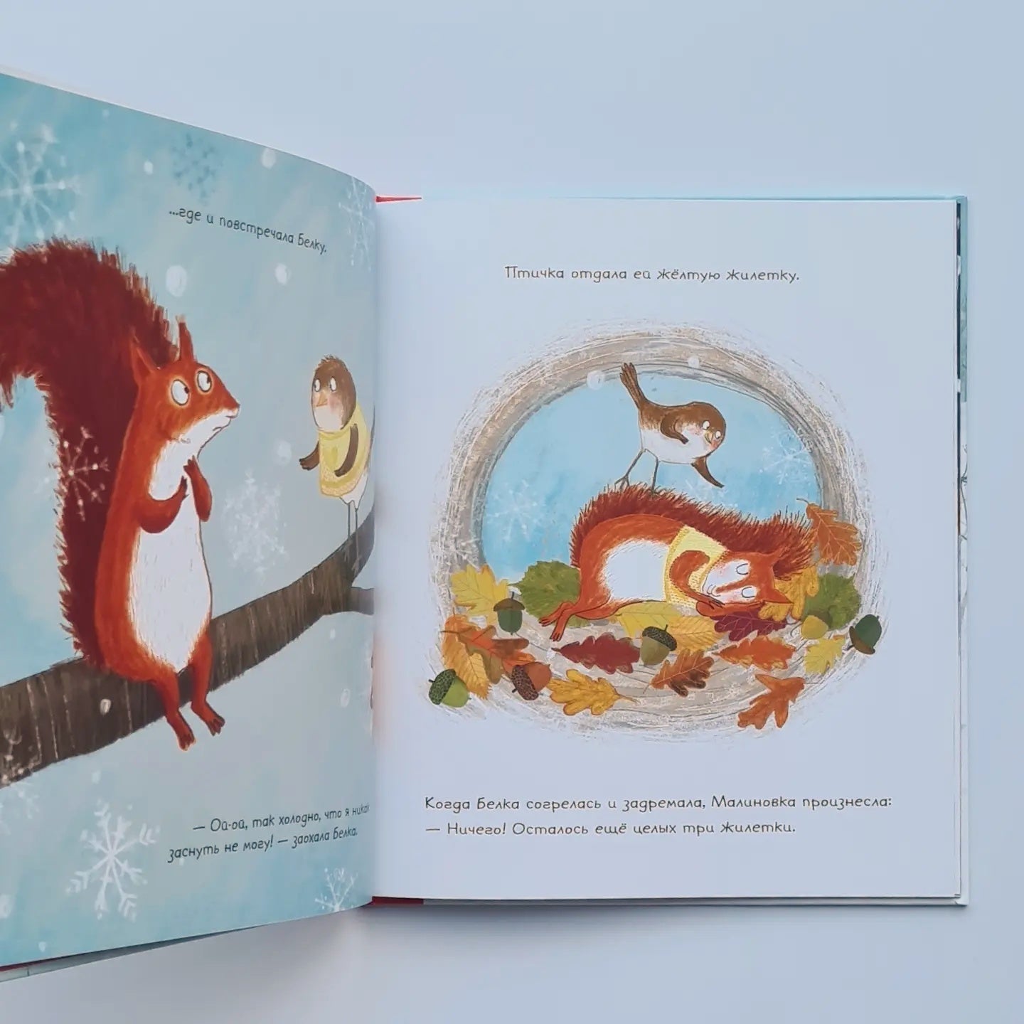 Eight Vests of Robin