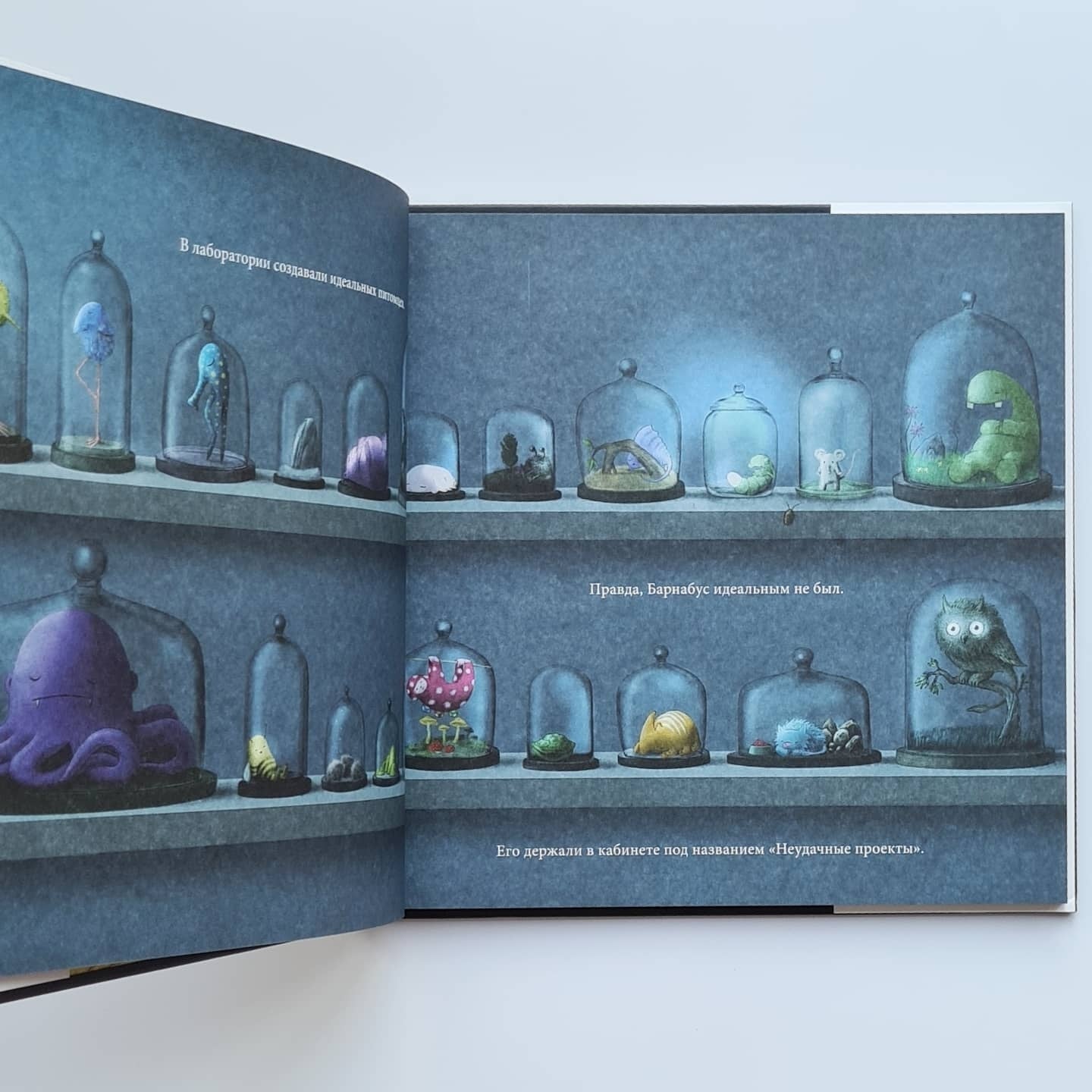 Проект "Барнабус"