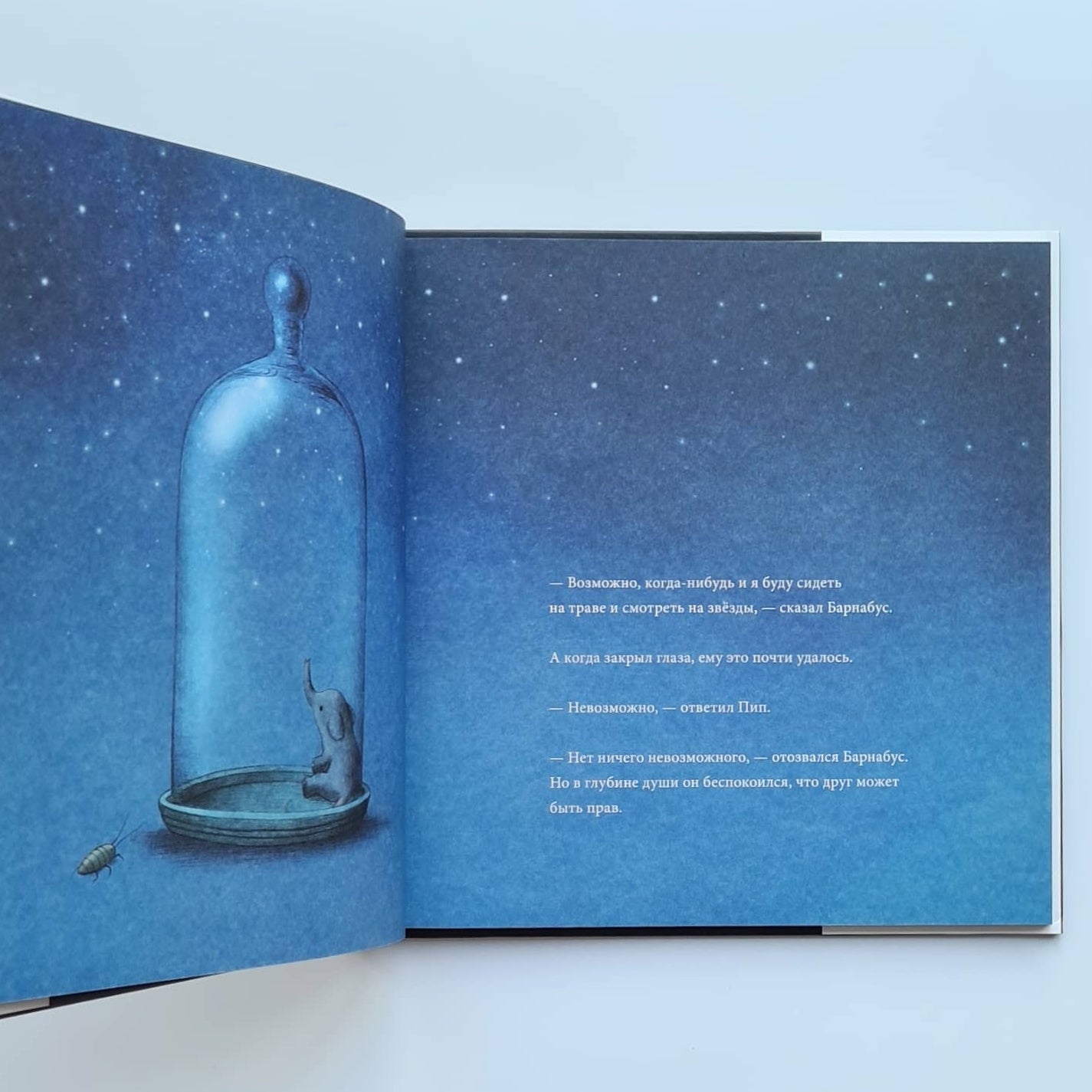 Проект "Барнабус"