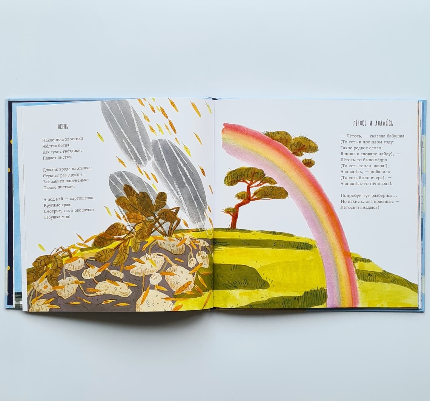 Once upon a time there lived a family