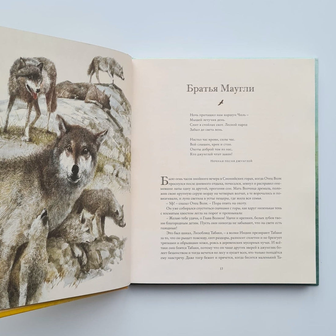 Книга джунглей