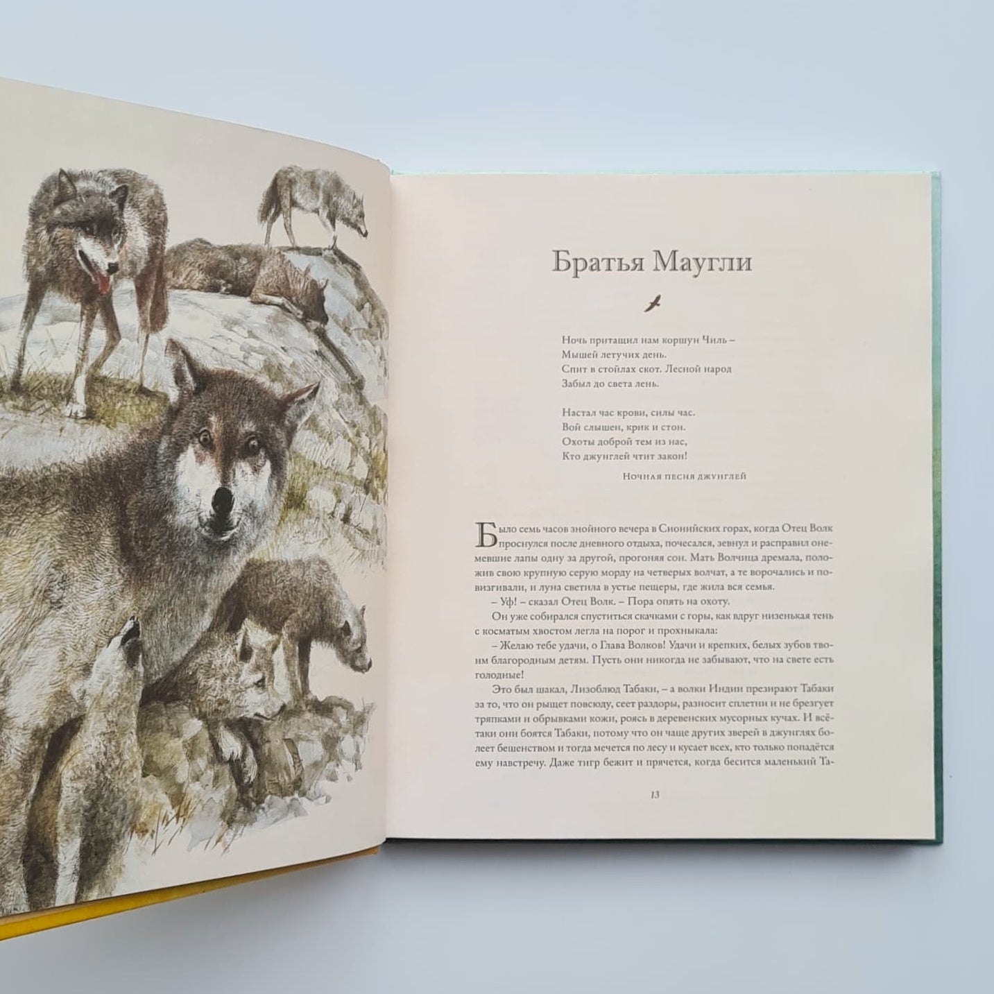 Книга джунглей